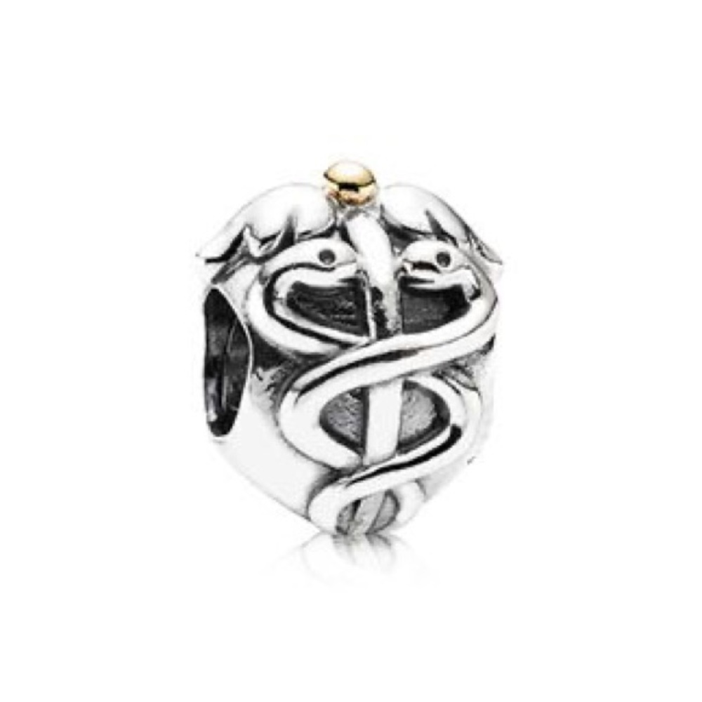 Doctor Nurse Charm